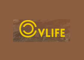 CVlife-Discount-Code-2026